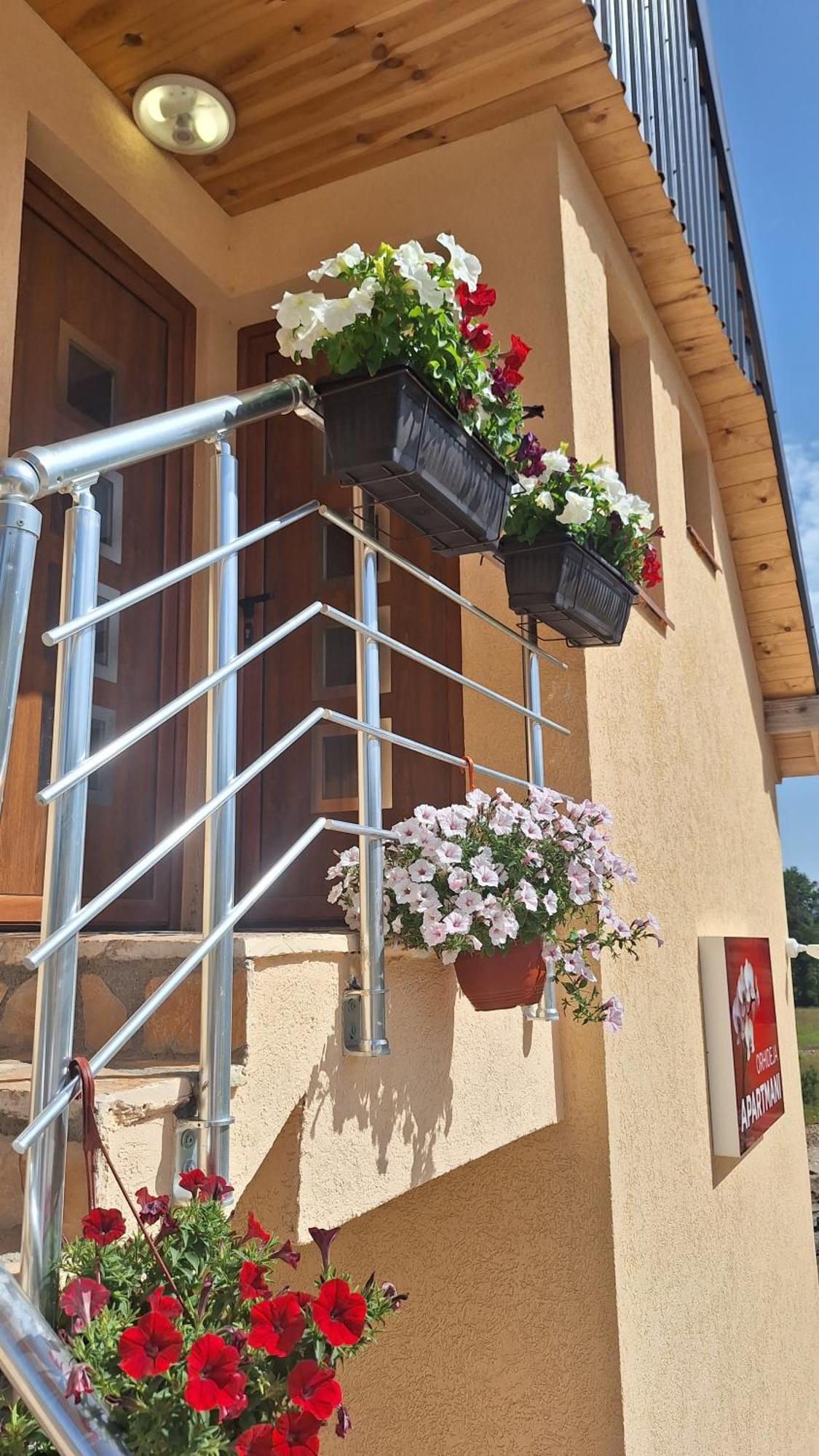 Apartments Orchidea Žabljak Buitenkant foto