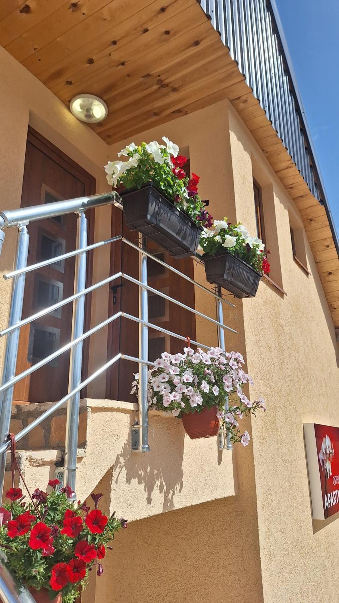 Apartments Orchidea Žabljak Buitenkant foto
