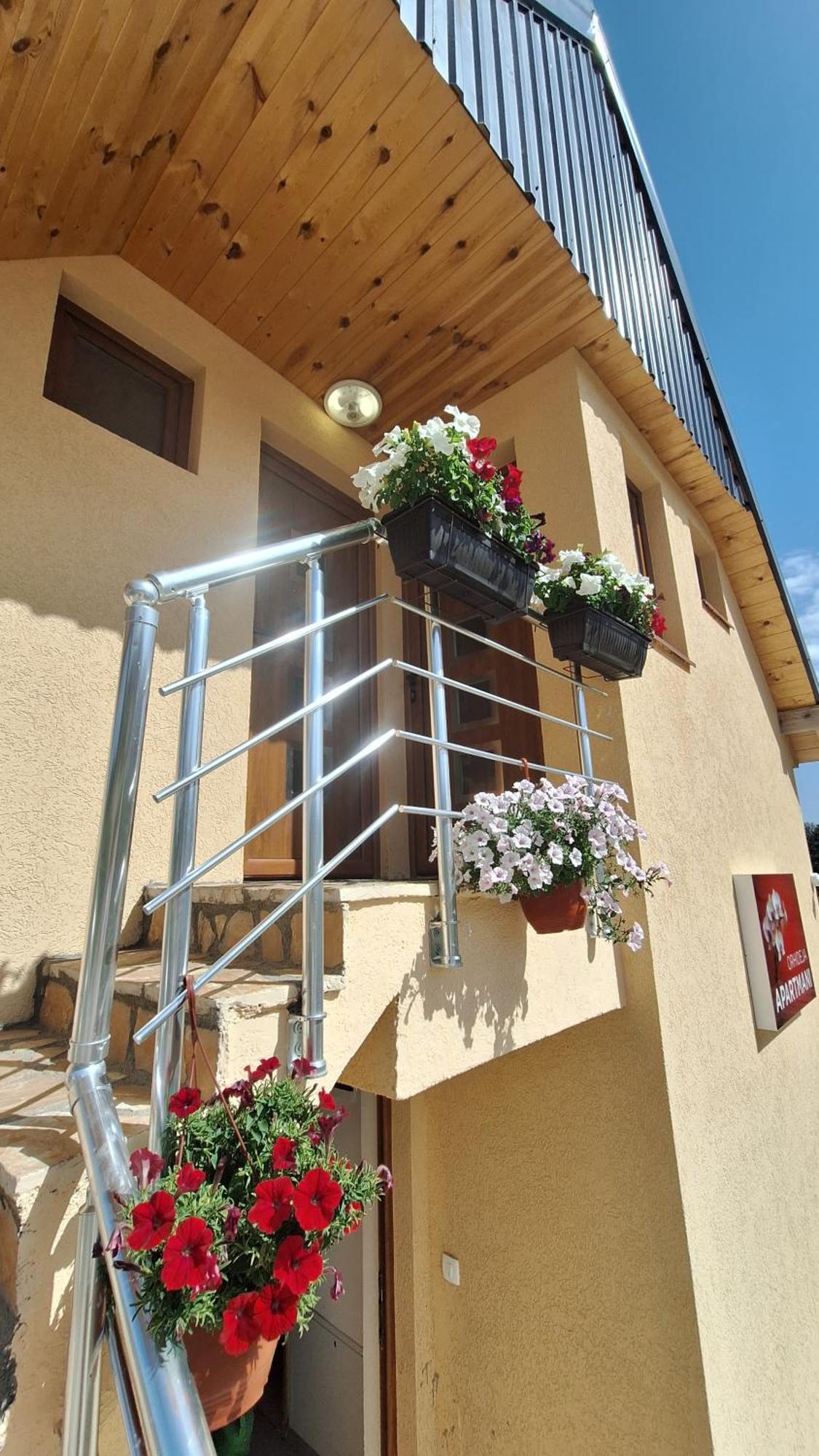 Apartments Orchidea Žabljak Buitenkant foto